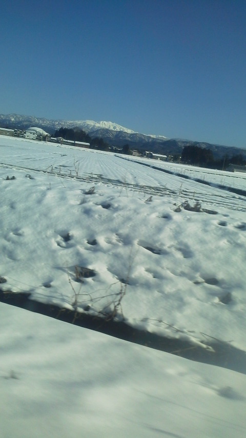 サンダーバードからの雪景色